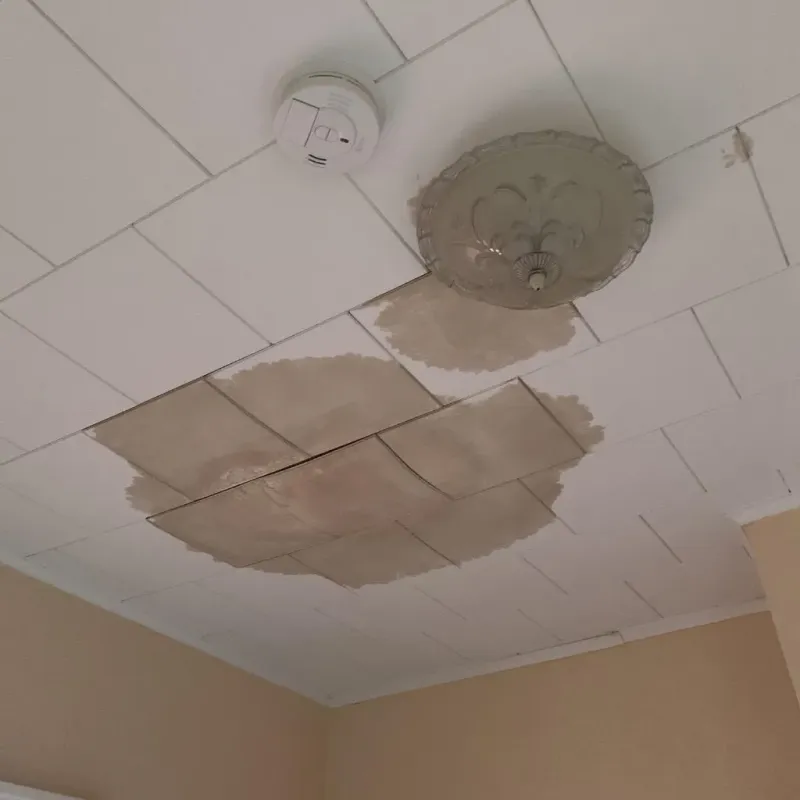 Ceiling Water Damage Repair in Knottsville, KY