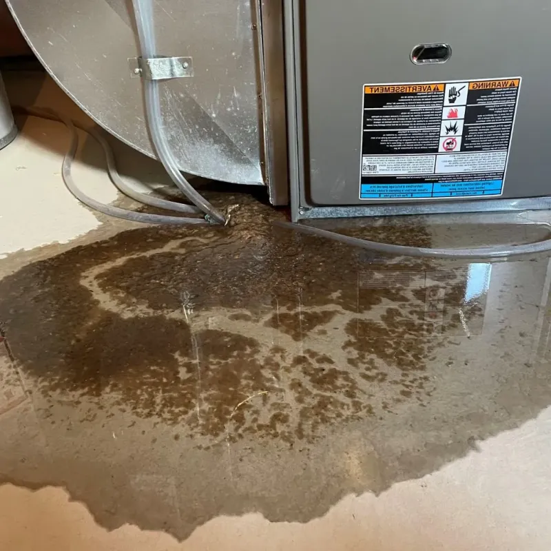 Pipe Burst and Leak Restoration in Knottsville, KY